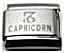 Capricorn laser charm (22/12-20/1) 9mm Italian charm